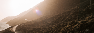 Individuals  header (1)