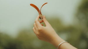 Stock Imagery Backgrounds (5)